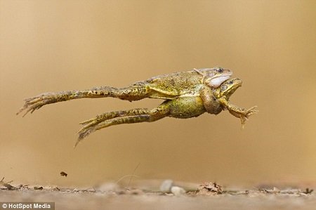 BEAT365:韩磊《只留清气满乾坤》震撼首发 唱响巍巍大中华(图3) BEAT365:韩磊《只留清气满乾坤》震撼首发 唱响巍巍大中华(图3)