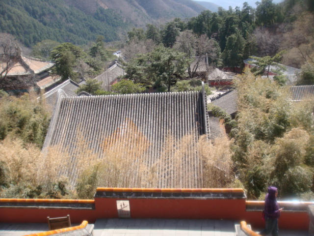 ‘beat365官网中文’《五月天陪你守岁》精心打造怀旧大街 与歌迷过“鼠”于五月天的新年(图2) ‘beat365官网中文’《五月天陪你守岁》精心打造怀旧大街 与歌迷过“鼠”于五月天的新年(图2)