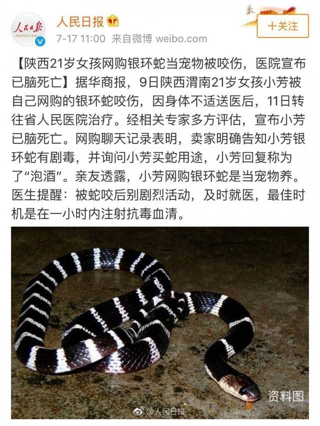 “beat365”全民偶像李宇春最新实体唱片预售8小时创行业纪录(图2) “beat365”全民偶像李宇春最新实体唱片预售8小时创行业纪录(图2)