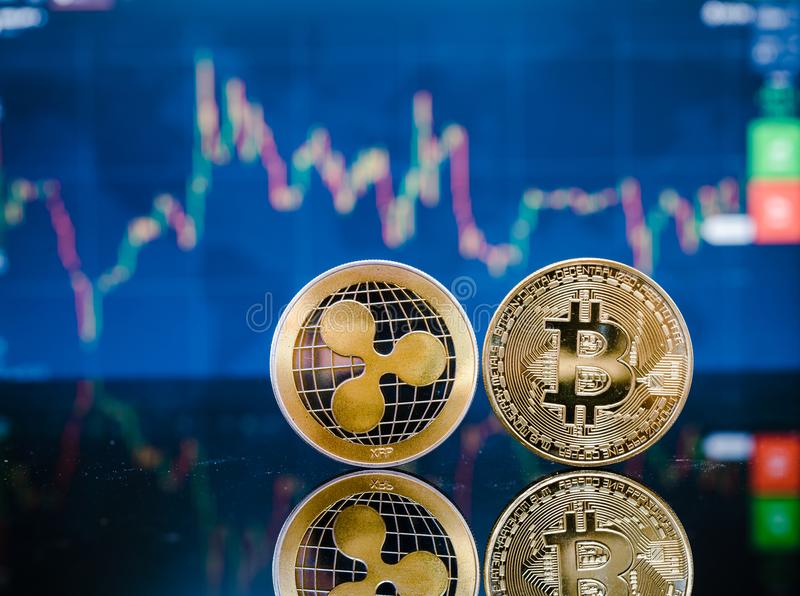 萧秉治首尝胜利滋味 贴身管家好胆赢贵宾‘BEAT365’(图2)